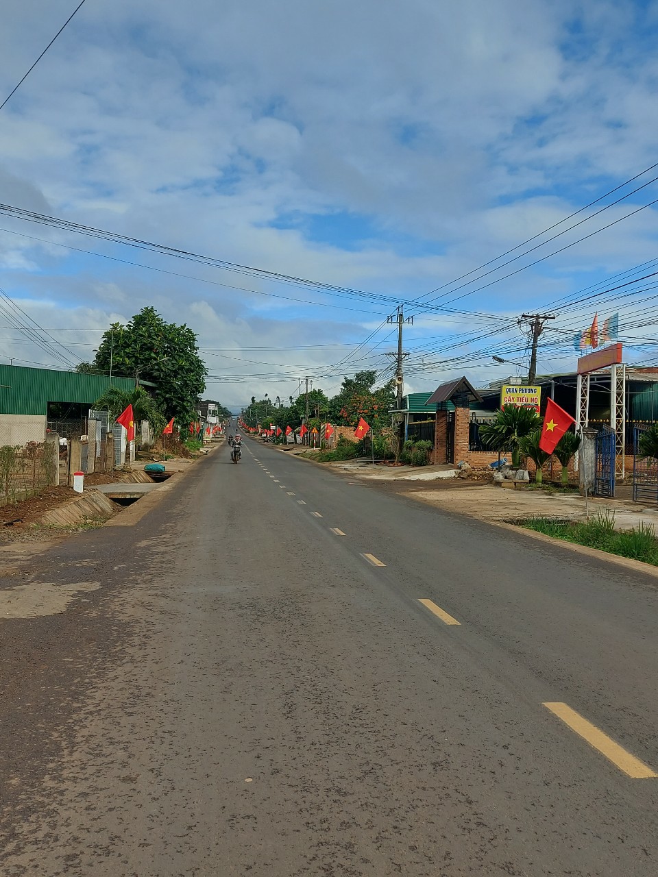 z5031289768647_19ca558f52eed151202238d7de1ee222