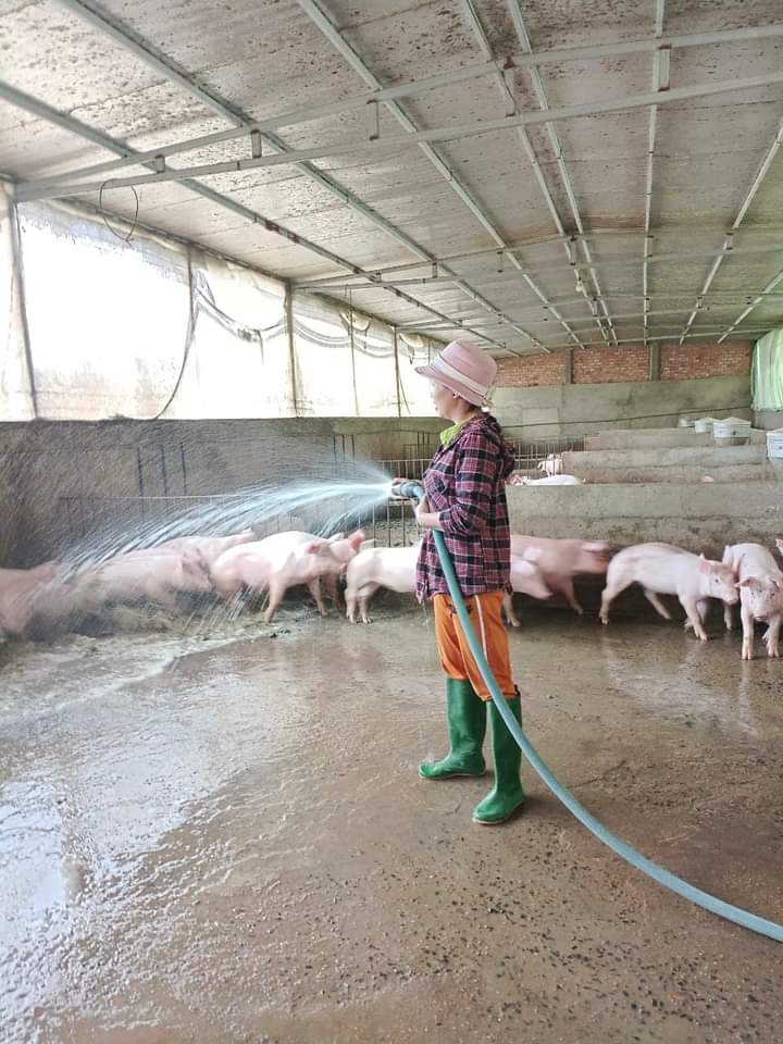 NGUỒN VỐN VAY CỦA NHCSXH ĐÃ TRỞ THÀNH "ĐÒN BẨY" GIÚP HỘI VIÊN PHỤ CÓ VIỆC LÀM, PHÁT TRIỂN KINH TẾ HỘ GIA ĐÌNH, THOÁT NGHÈO BỀN VỮNG