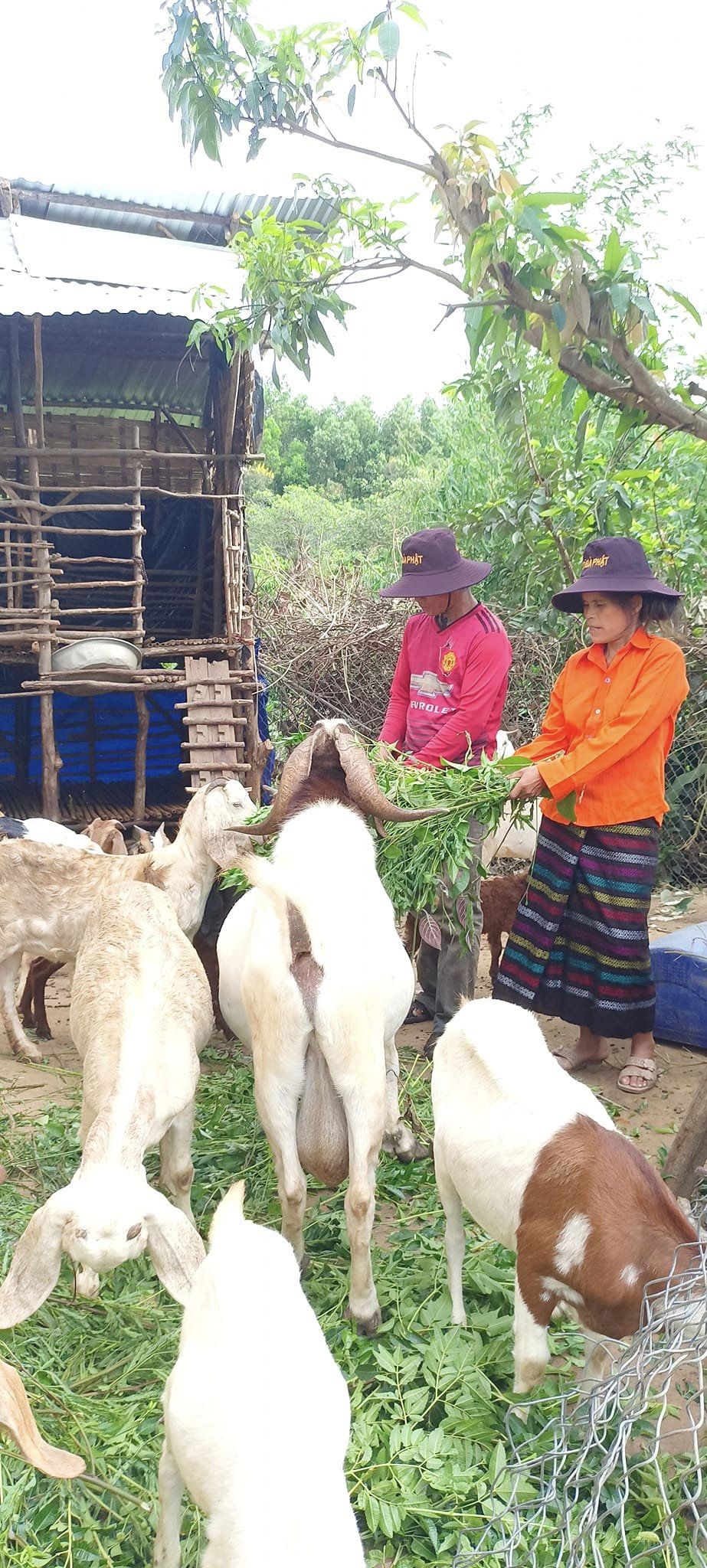 HIỆU QUẢ TỪ NGUỒN VỐN VAY CỦA NGÂN HÀNG CSXH HUYỆN KRÔNG PĂC DO HỘI LHPN XÃ TÂN TIẾN QUẢN LÝ