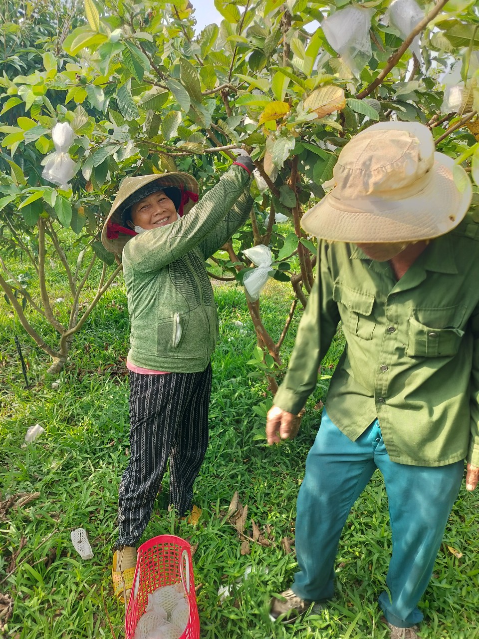 HỘI CỰU CHIẾN BINH XÃ TÂN TIẾN PHÁT HUY HIỆU QUẢ NGUỒN VỐN UỶ THÁC VỚI NGÂN HÀNG CHÍNH SÁCH
