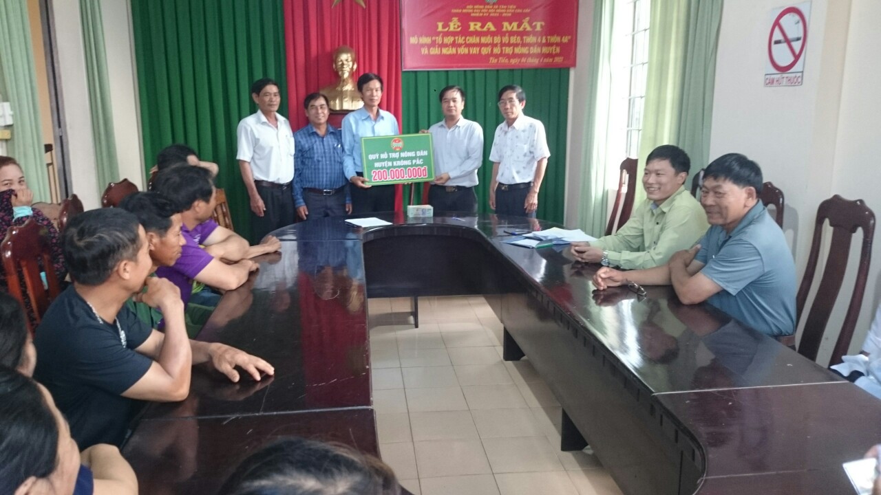 Hội Nông dân xã Tân Tiến ra mắt Tổ hợp tác nuôi bò vỗ béo và giải ngân vốn vay Quỹ hỗ trợ nông dân